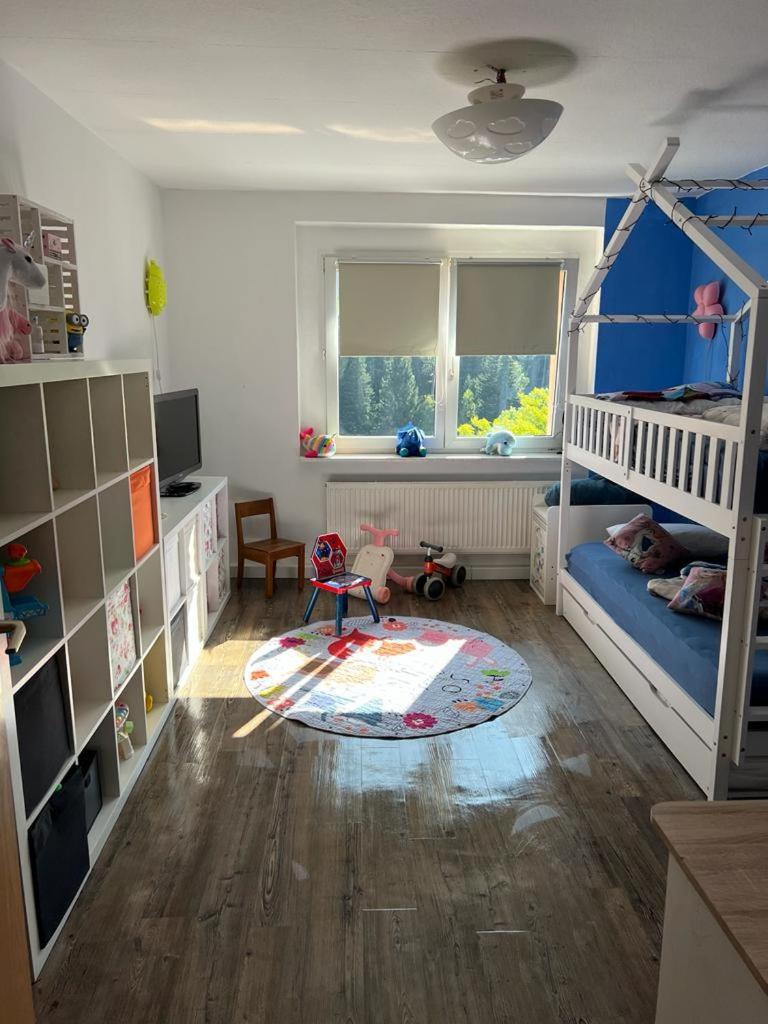Private Normale Fur Familien, Berge Lieben - 500 Mbit Internet - Netflix & Amazon Prime Apartment Oberwiesenthal